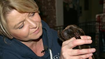 Christiane und <b>Pia Sammer</b> aus Dinslaken haben ein paar turbulente Tage <b>...</b> - ausbildung-zum-blindenfuehrhund