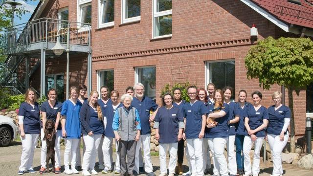 Hündin Greta von Wittgenstein hat sich am Kopf verletzt Hündin Greta von Wittgenstein hat sich am Kopf verletzt