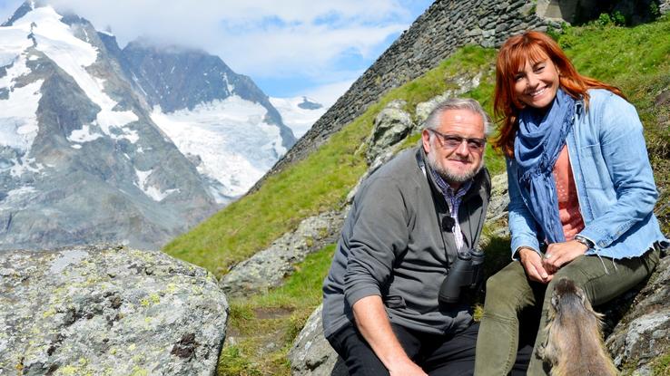Mankeiwirt Herbert zieht verwaiste Murmeltiere auf Mankeiwirt Herbert zieht verwaiste Murmeltiere auf