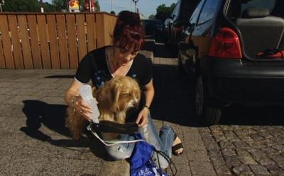Reisen mit Hund Reisen mit Hund