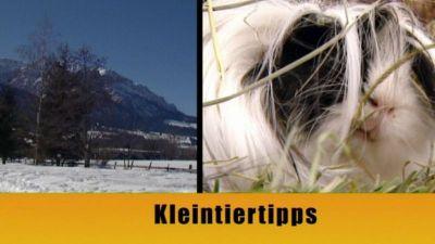hundkatzemaus Wintertipps hundkatzemaus Wintertipps