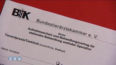 hukamau Tieranwältin Hundekauf hukamau Tieranwältin Hundekauf