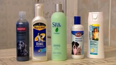 Hundeshampoo im Test Hundeshampoo im Test