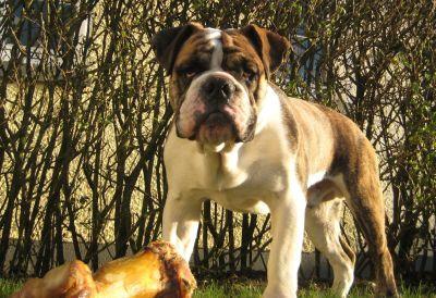 Ab ins Beet - Detlef im Chat Ab ins Beet - Detlef im Chat