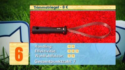 Hundebürsten-Test Hundebürsten-Test