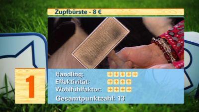 Hundebürsten-Test Hundebürsten-Test