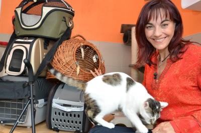 Katzentransportboxen Katzentransportboxen