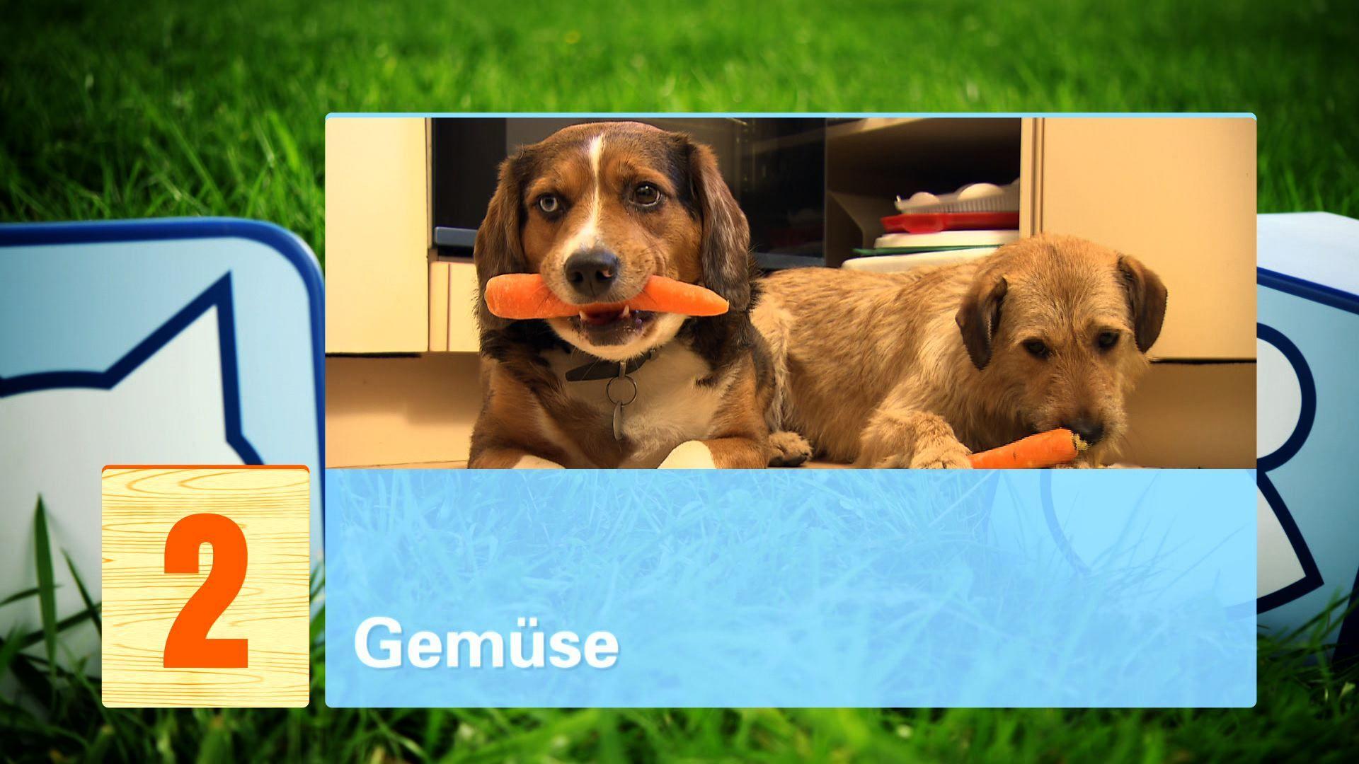 Essensreste Essensreste