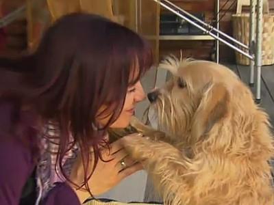 Doga- Yoga mit Hund Doga- Yoga mit Hund