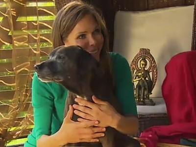 Doga- Yoga mit Hund Doga- Yoga mit Hund