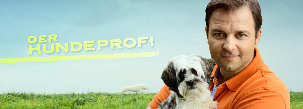 Vox Now Der Hundeprofi Vox Now Der Hundeprofi