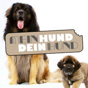 Mein Hund Dein Hund Mein Hund Dein Hund