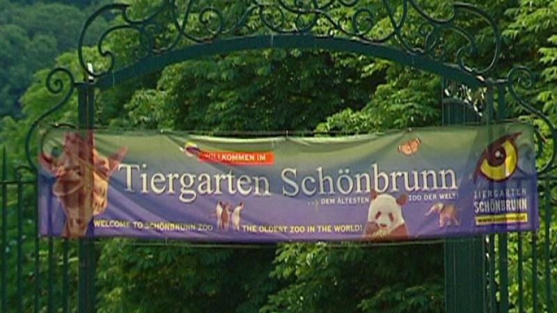 Tiergarten Schönbrunn / Wien Menschen, Tiere & Doktoren: Tiergarten Schönbrunn