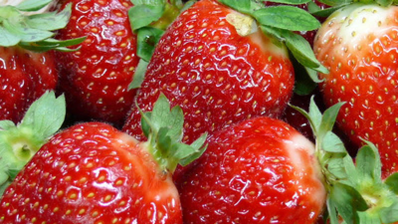 So sichern Sie sich die besten Erdbeeren! Erdbeeren