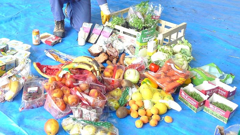 Mülltaucher: Essen aus der Tonne Essen landet tonnenweise im Müll