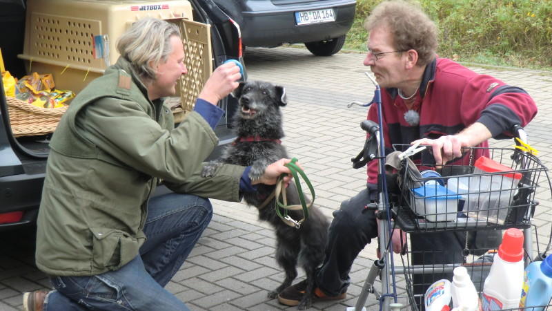 Tierschutzexperte Frank Weber hundkatzemaus-Tierschutzexperte Frank Weber