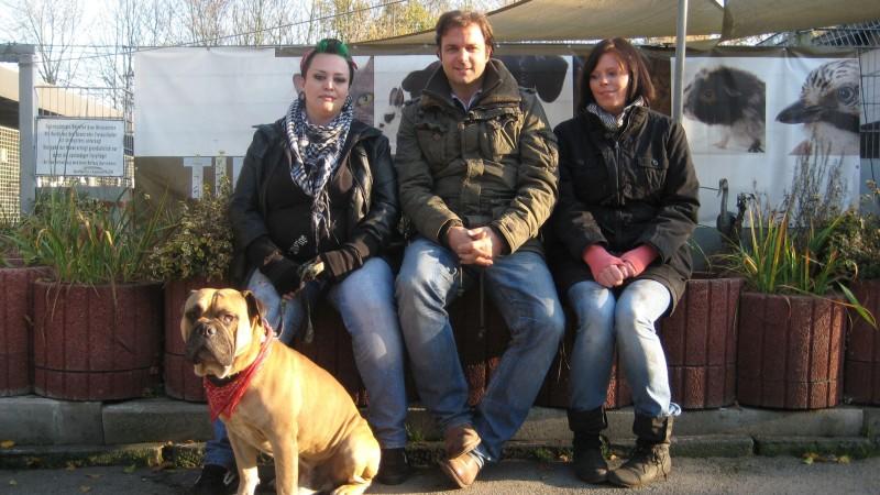 Analyse und Training Hundeprof Martin Rütter