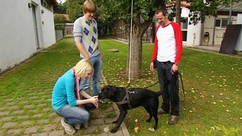 Tierheim Stuttgart VOX Menschen, Tiere & Doktoren: Familienzuwachs?