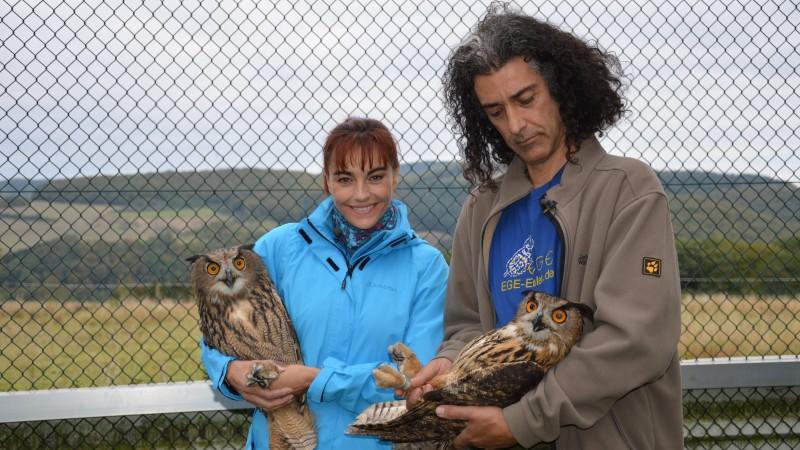 hundkatzemaus auf großer "Wildnis Deutschland"-Expedition hundkatzemaus-Reporterin Diana Eichhorn besucht die Wildvogelpflegestation Kirchwald.