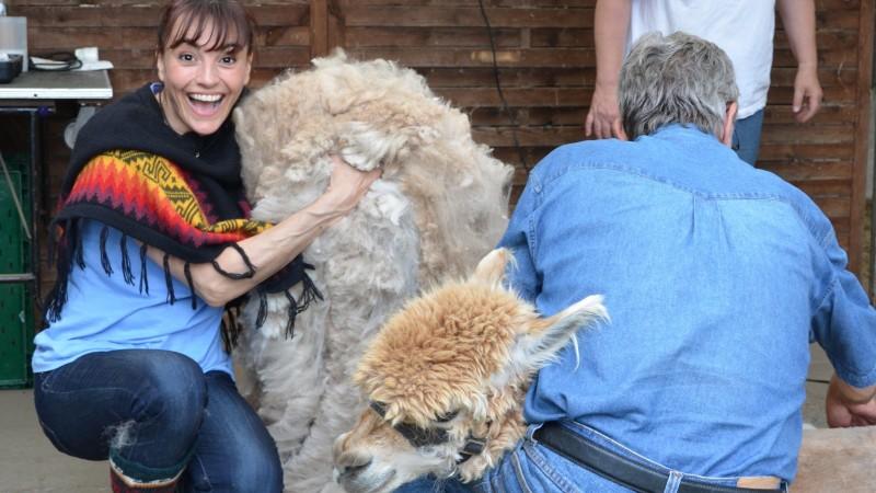 Diana Eichhorn zu Besuch bei bei den Alpakas-Kamelen Die Andenbewohner ohne Höcker kann so schnell nichts aus der Ruhe bringen.