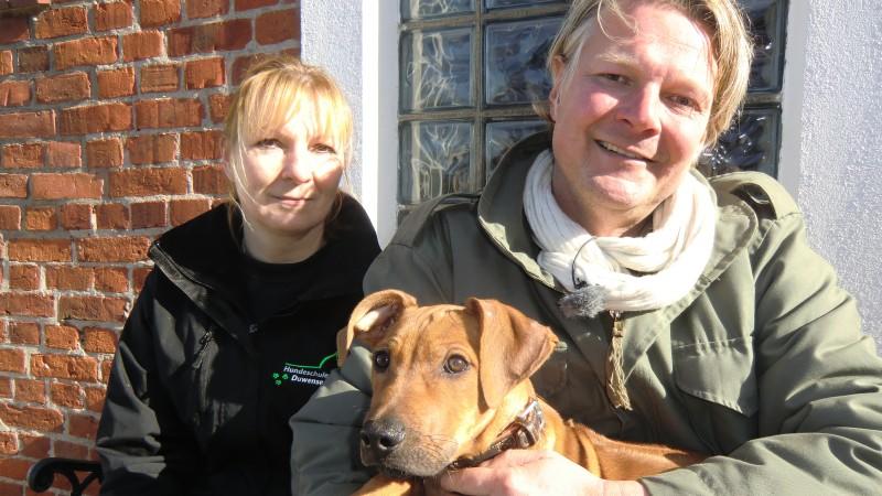 Frank Weber kümmert sich um zwei Rhodesian Ridgebacks Tierschutzexperte Frank Weber kümmert sich um geretteten Hund Bashiri.