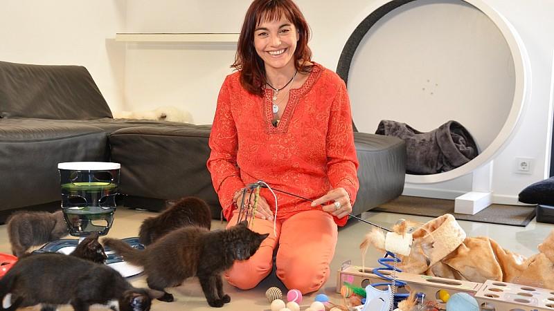 Der große Katzenspielzeug-Test Diana Eichhorn testet Katzenspielzeug.