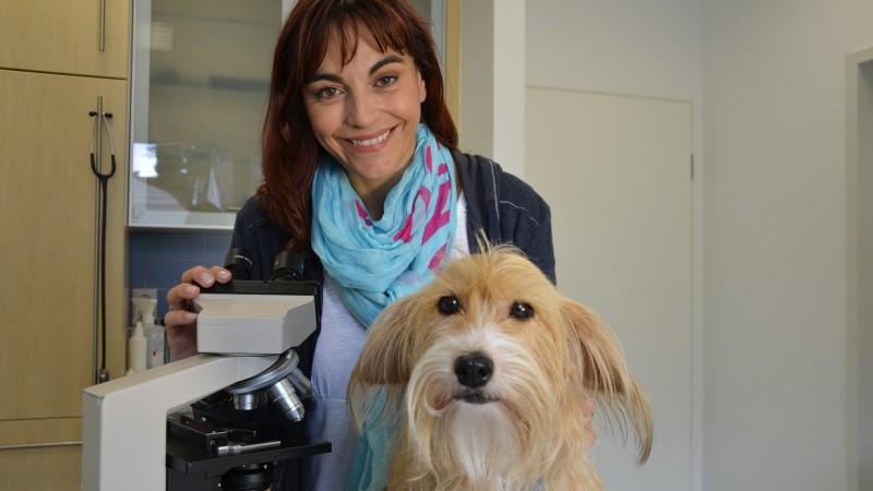 Achtung Parasiten! hundkatzemaus Diana Eichhorn Parasiten