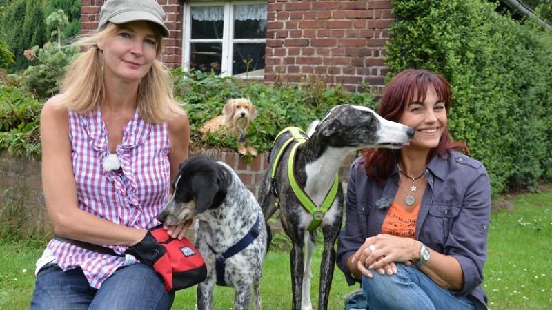 Vorschau hundkatzemaus Diana Eichhorn Projekt Schnüffelgarten