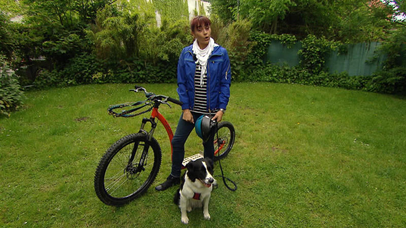 Dogscooting: Rasanter Rollerspaß für Tier und Mensch hukamau Dogscooting