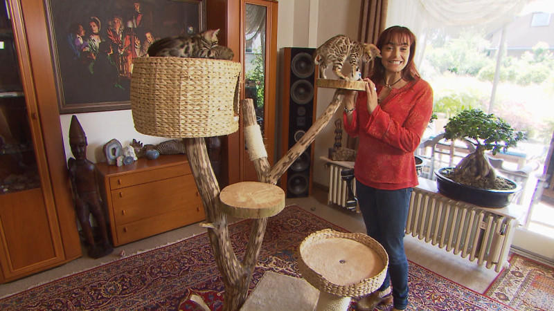 Katzenkratzbaum - natürlich (und) selbstgebaut hundkatzemaus Kratzbaum