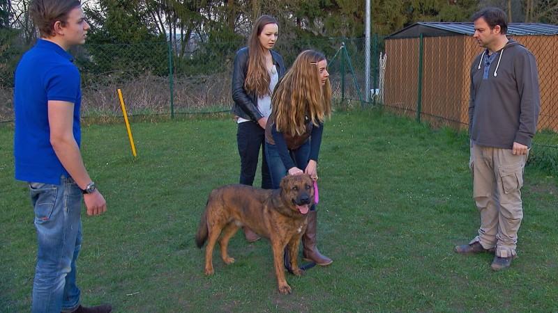 Der Hundeprofi: Spaziergänge mit Familienhund Aiko werden zur Zitterpartie Hundeprofi Martin Rütter und die Familie von Mischlings-Rüde Aiko