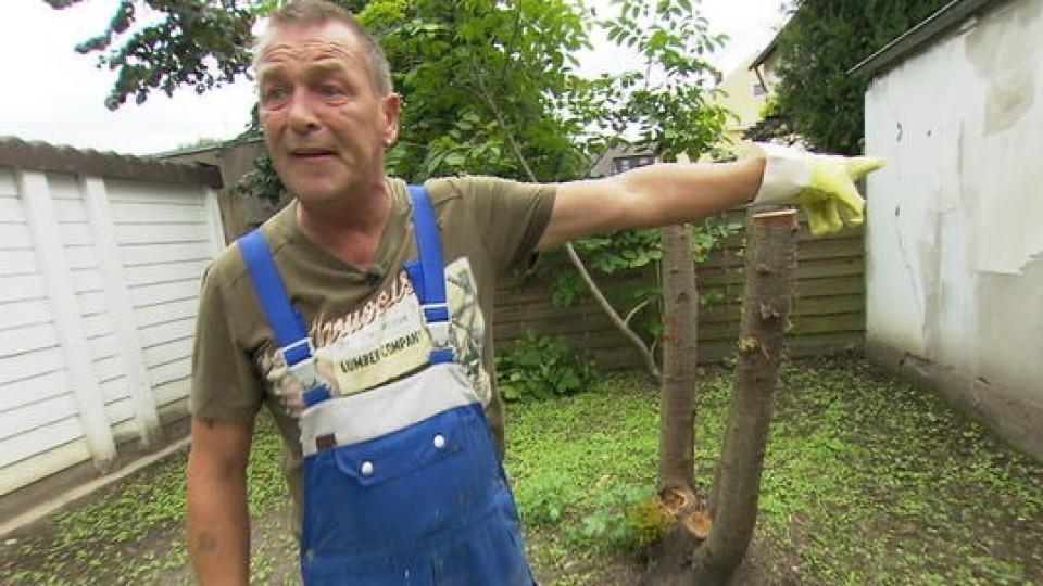 Ab ins Beet!: Claus und Maren bitten Handwerkerkönig Ralle um Hilfe Ab ins Beet!: Ralle soll für Claus und Maren eine Garagenwand neu verputzen.