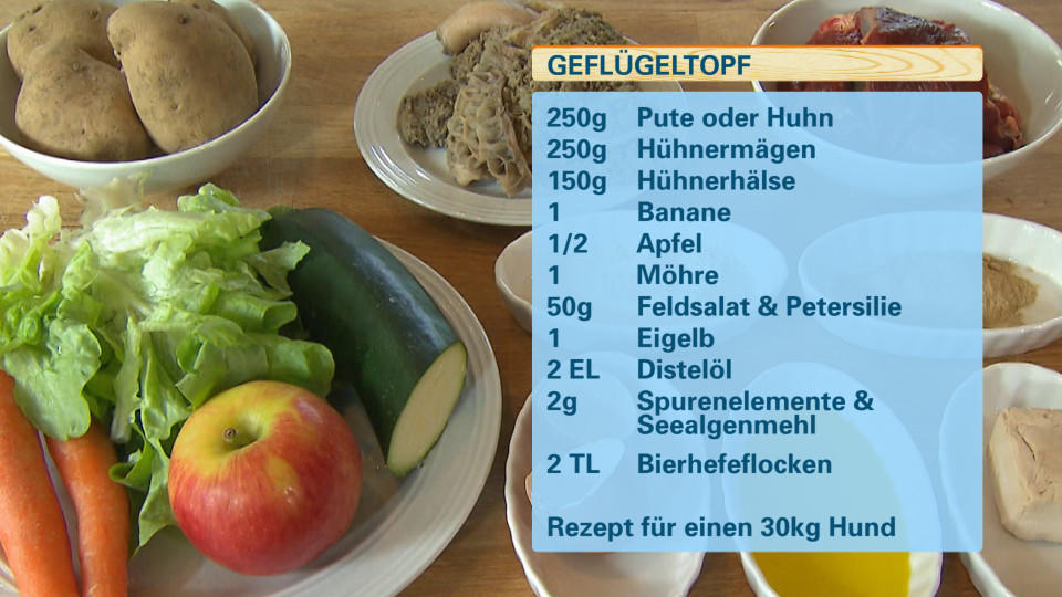 hundkatzemaus: "Tierisch lecker" - heute wird gebarft! hundkatzemaus-Miniserie: "Tierisch lecker"
