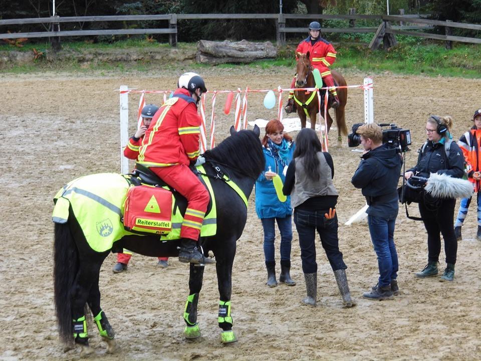 hundkatzemaus: Rescueriders - Erste Hilfe zu Pferd hundkatzemaus: Diana Eichhorn informiert sich über Rescueriders