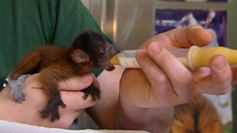 Tierrettung München Tierrettung München