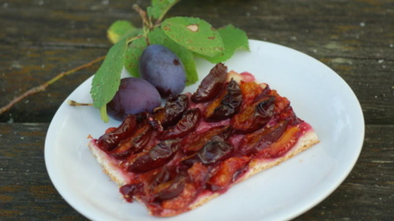 Vielfältige Frucht Vielfältige Frucht
