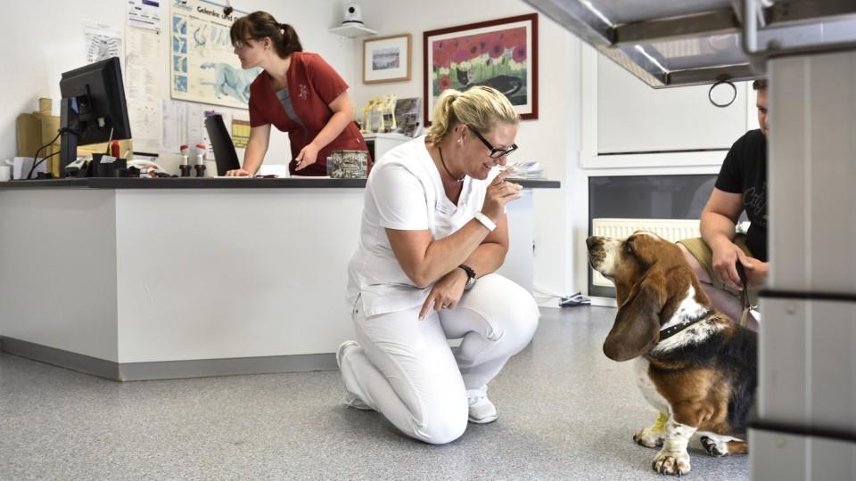 Hautnah: Die Tierklinik: Der bewegende Klinikalltag aus der ersten Reihe In "Hautnah: Die Tierklinik" zeigt VOX den bewegenden Klinik-Alltag so authentisch und spannend wie nie zuvor.
