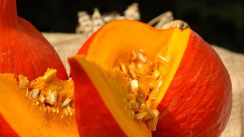 Herbstzeit ist Kürbiszeit Fotolia