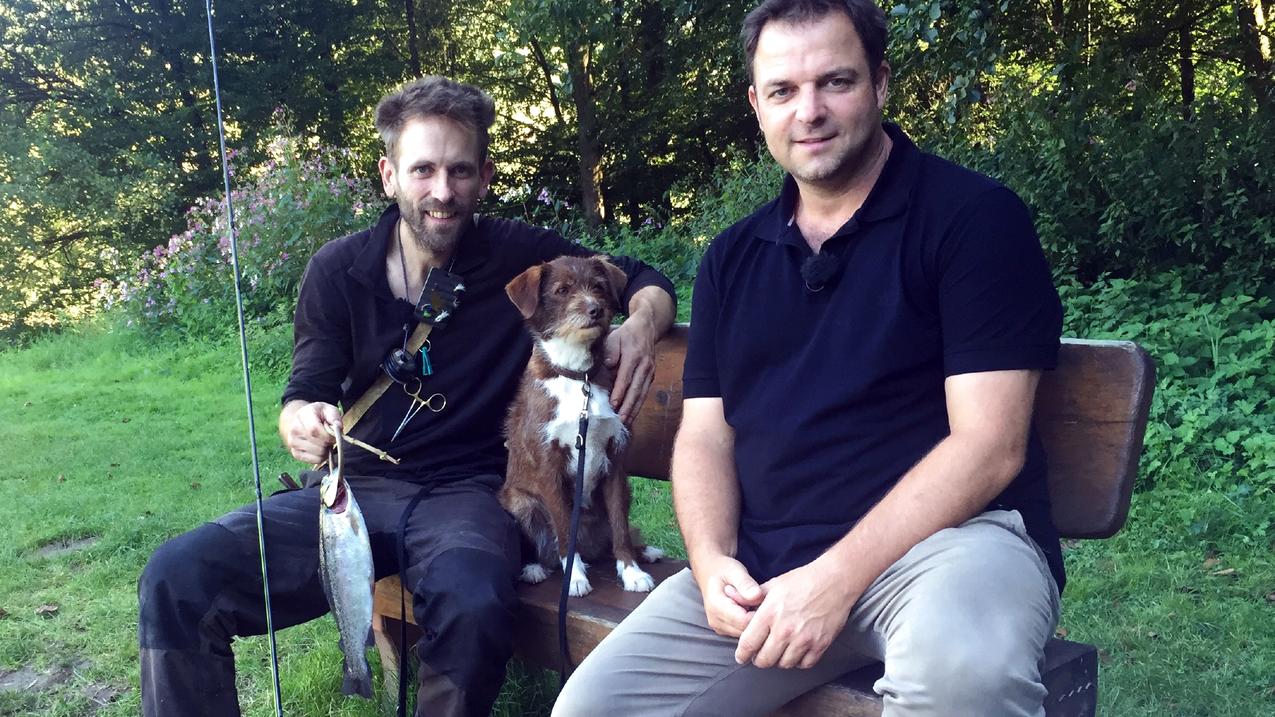 Der Hundeprofi unterwegs: Neue Folgen mit Martin Rütter Der Hundeprofi unterwegs: Martin Rütter und Tipimann Marc Freukes