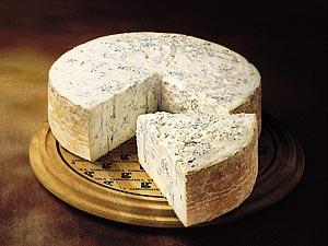 Gorgonzola - Tradition, Nährwert und antioxidative Wirkung Gorgonzola - Tradition, Nährwert und antioxidative Wirkung