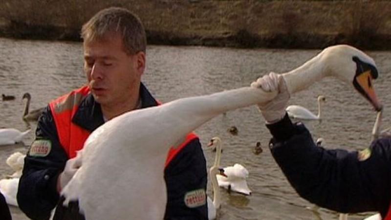 Tierklinik Rostock (Foto: VOX/VP)