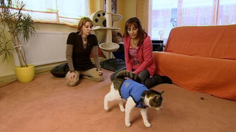 Diana Eichhorn besucht eine Ataxie-Katze hundkatzemaus-Reporterin Diana Eichhorn und das Ataxie-Kätzchen Sari.