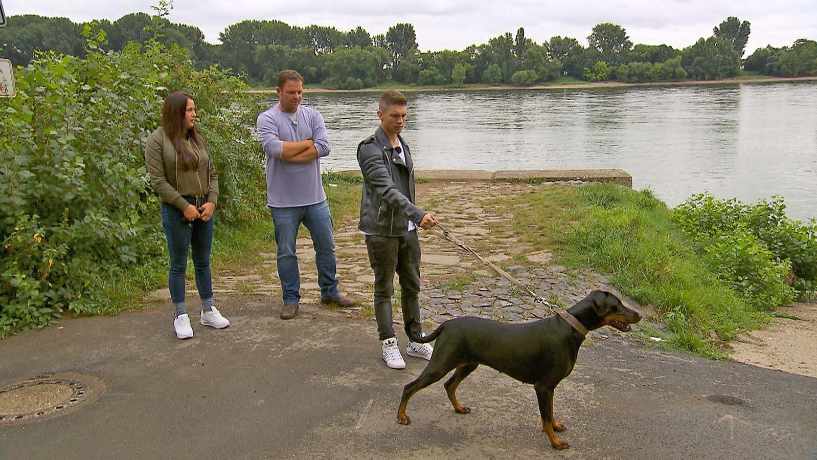 Der V.I.P. Hundeprofi: Martin Rütter hilft wieder prominenten Hundebesitzern Der V.I.P. Hundeprofi: Justine Dippel, Martin Rütter und Joey Heindle mit "Jersey"