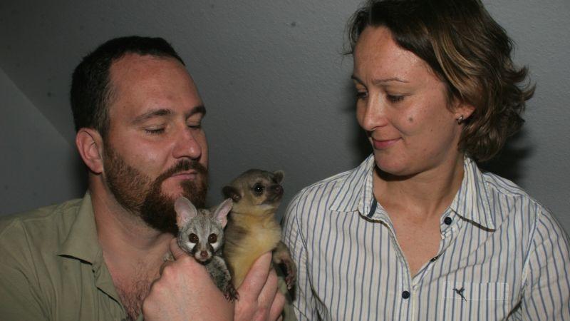 Flirtfaktor Wickelbär Geschäftsmann Martin Höhle, Notfall-Tierärztin Dr. Anne Haubold und Wickelbär "Wicky". Foto: VOX