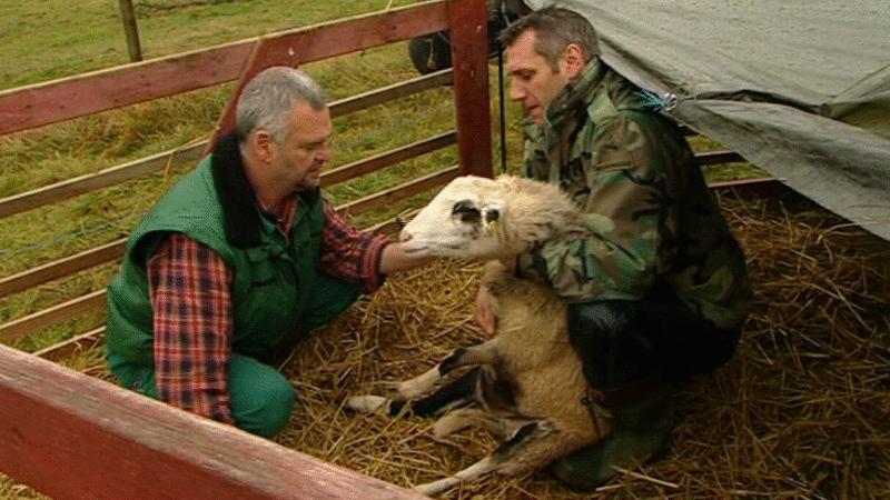 Landtierarzt Nicki Schirm Landtierarzt Nicki Schirm