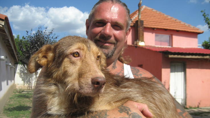 Harte Hunde - Ralf Seeger greift ein Harte Hunde - Ralf Seeger greift ein