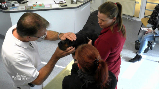 Eine Klinik voller Emotionen Eine Klinik voller Emotionen