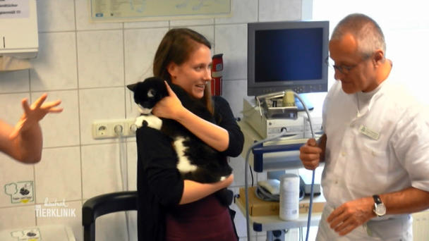 Frauchen in großer Sorge um Kater Merlin Frauchen in großer Sorge um Kater Merlin