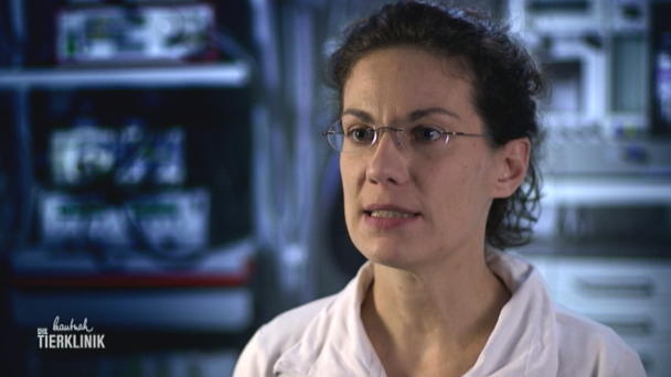 Schwere Erkrankung bei Hündin Amy? Schwere Erkrankung bei Hündin Amy?
