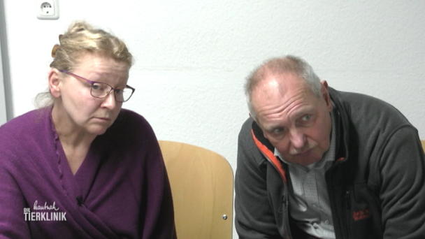 Unverdautes Leckerli? Unverdautes Leckerli?